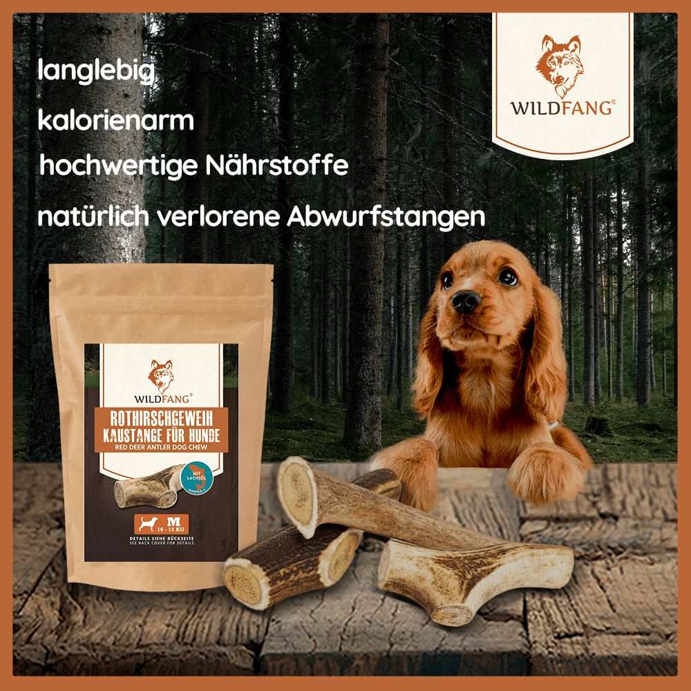 Kaugeweih Rothirsch mit Lachsöl - 3er Set-Hundespielzeug-Wildfang-