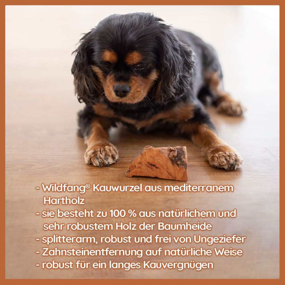 Kauwurzel aus Baumheide - 3er Set-Hundespielzeug-Wildfang-