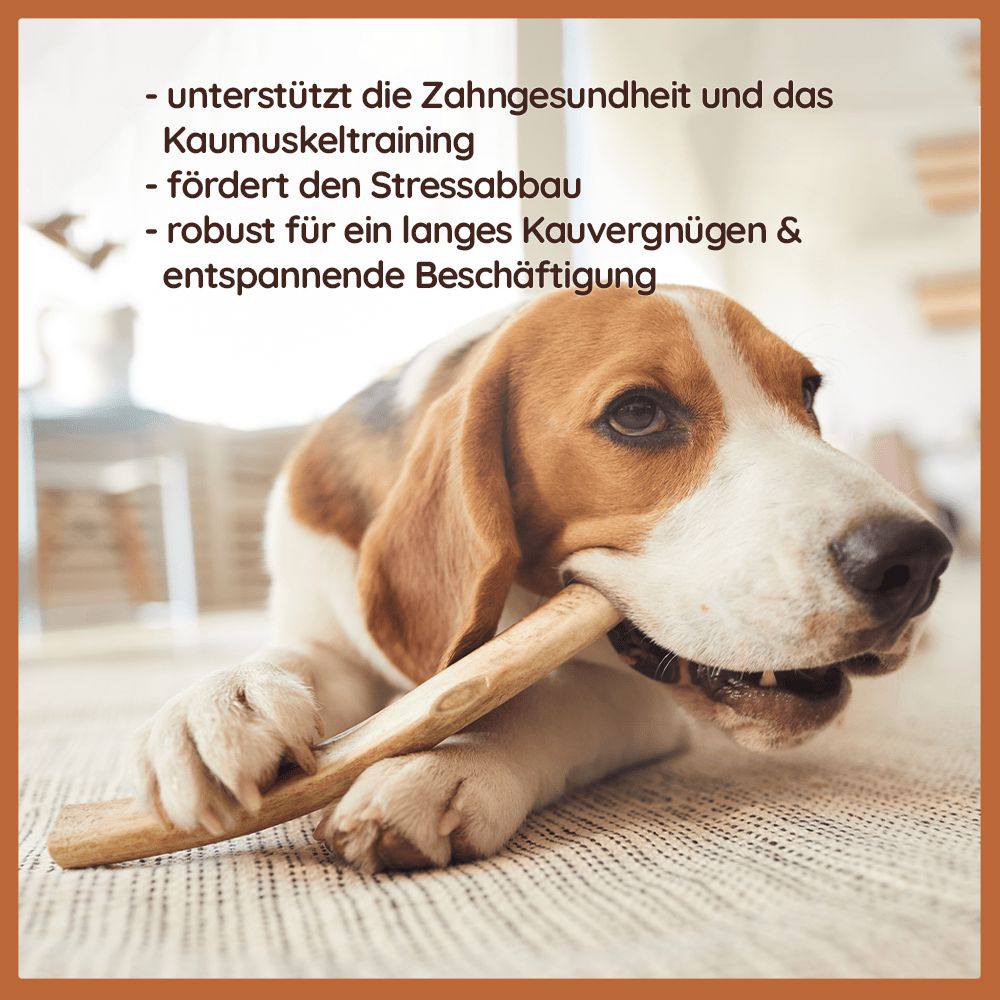 Kaugeweih Rothirsch - halbe Kaustange - 3er Set-Hundespielzeug-Wildfang-