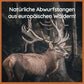 Kaugeweih Rothirsch - halbe Kaustange - 3er Set-Hundespielzeug-Wildfang-