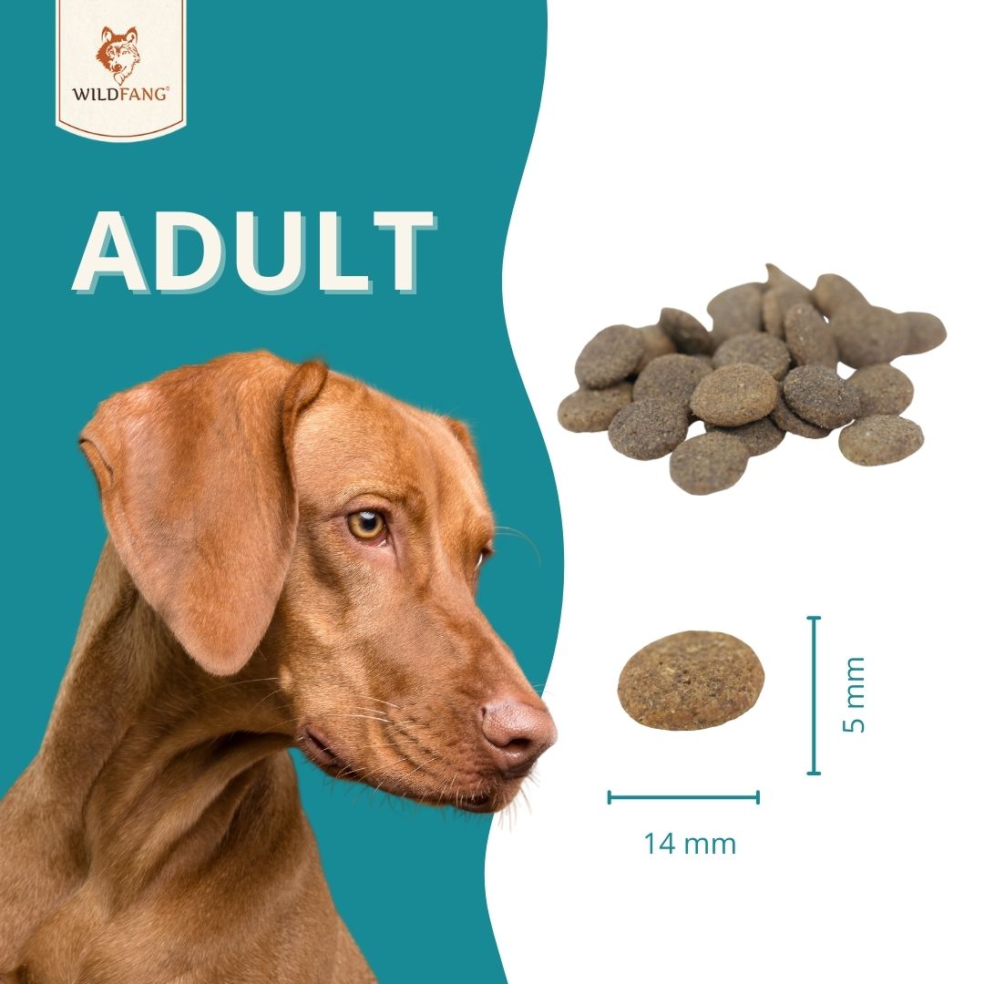 Adult Trockenfutter Sparpack 2 x 2 kg mit Wild - getreidefrei-Hundespielzeug-Wildfang-