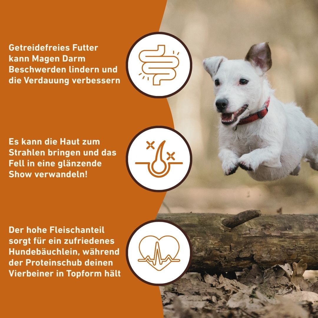 Adult Trockenfutter Sparpack 2 x 2 kg mit Wild - getreidefrei-Hundespielzeug-Wildfang-