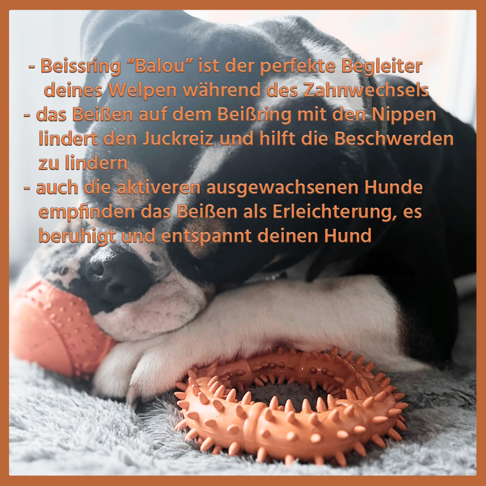 Kauspielzeug Beißring "Balou" - 100% Naturkautschuk-Hundespielzeug-Wildfang-