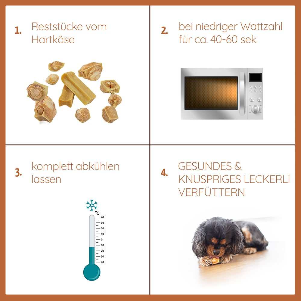 Kaukäse - Hartkäse Kaustab - Probierset Bunky Pops-Hundespielzeug-Wildfang-