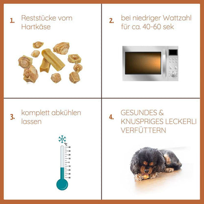 Kaukäse - Hartkäse Kaustab - Probierset Bunky Pops-Hundespielzeug-Wildfang-