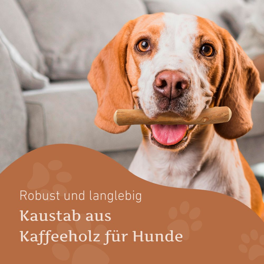 Kaffeeholz Kaustab - 3er Set-Hundespielzeug-Wildfang-