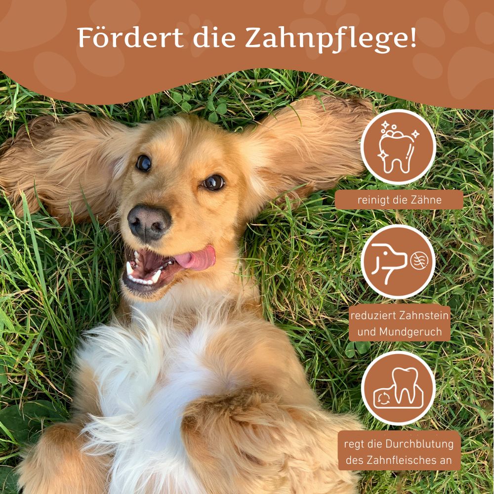 Kaffeeholz Kaustab - 3er Set-Hundespielzeug-Wildfang-
