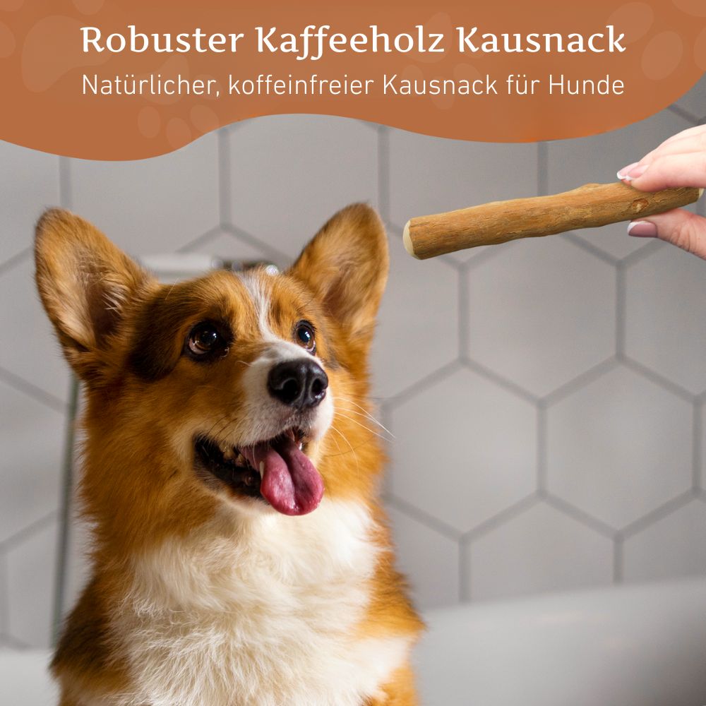 Kaffeeholz Kaustab - 3er Set-Hundespielzeug-Wildfang-