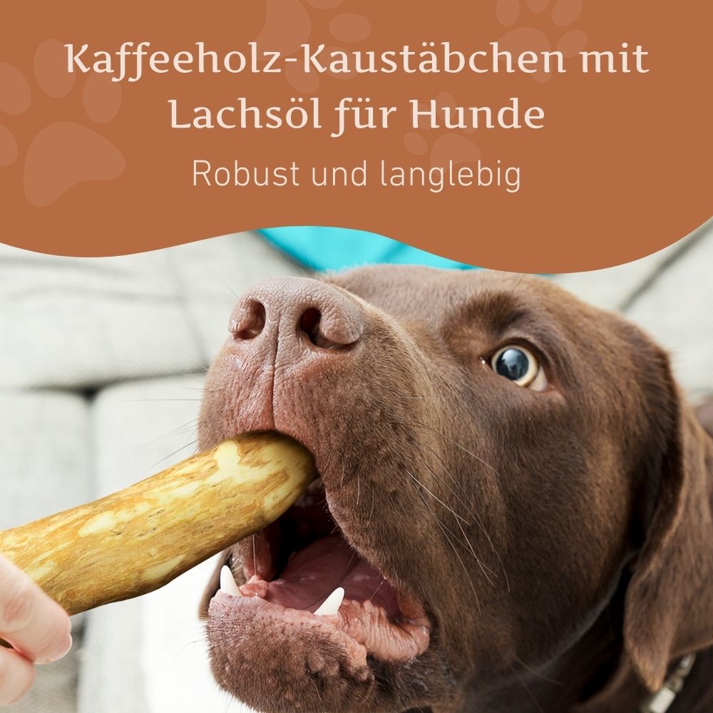 Kaffeeholz Kaustab mit Lachsöl-Hundespielzeug-Wildfang-