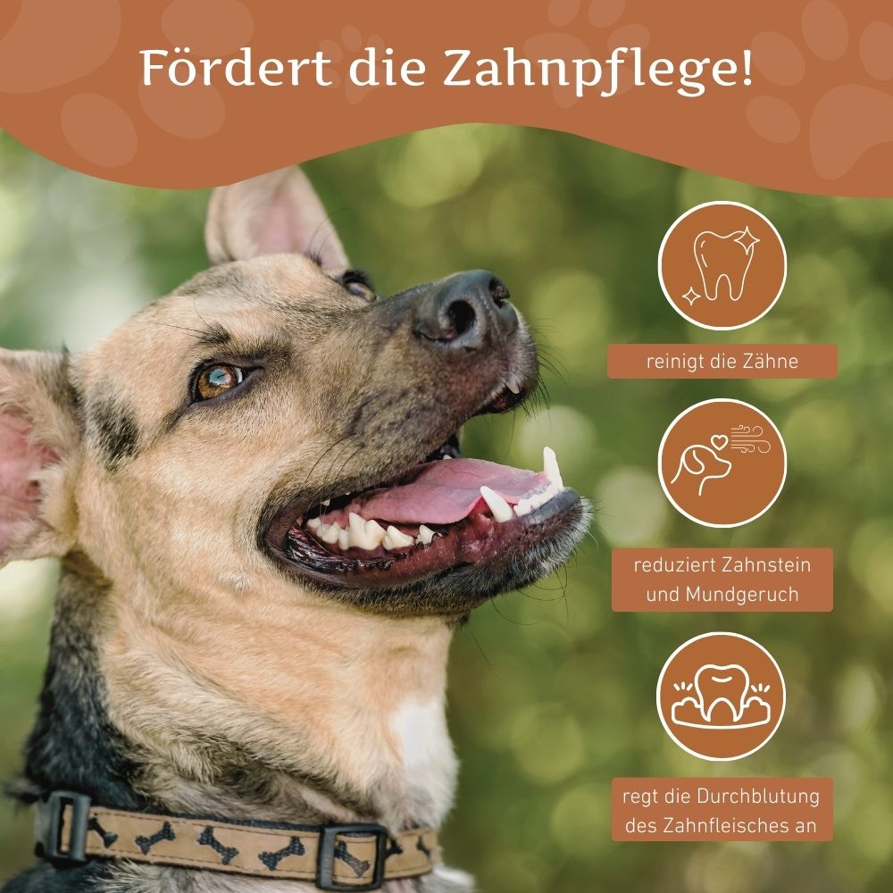 Kaffeeholz Kaustab mit Lachsöl-Hundespielzeug-Wildfang-