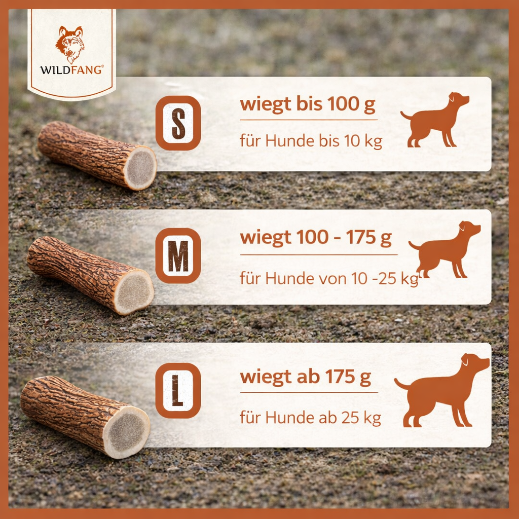 Kaugeweih Rothirsch mit Lachsöl - 3er Set-Hundespielzeug-Wildfang-