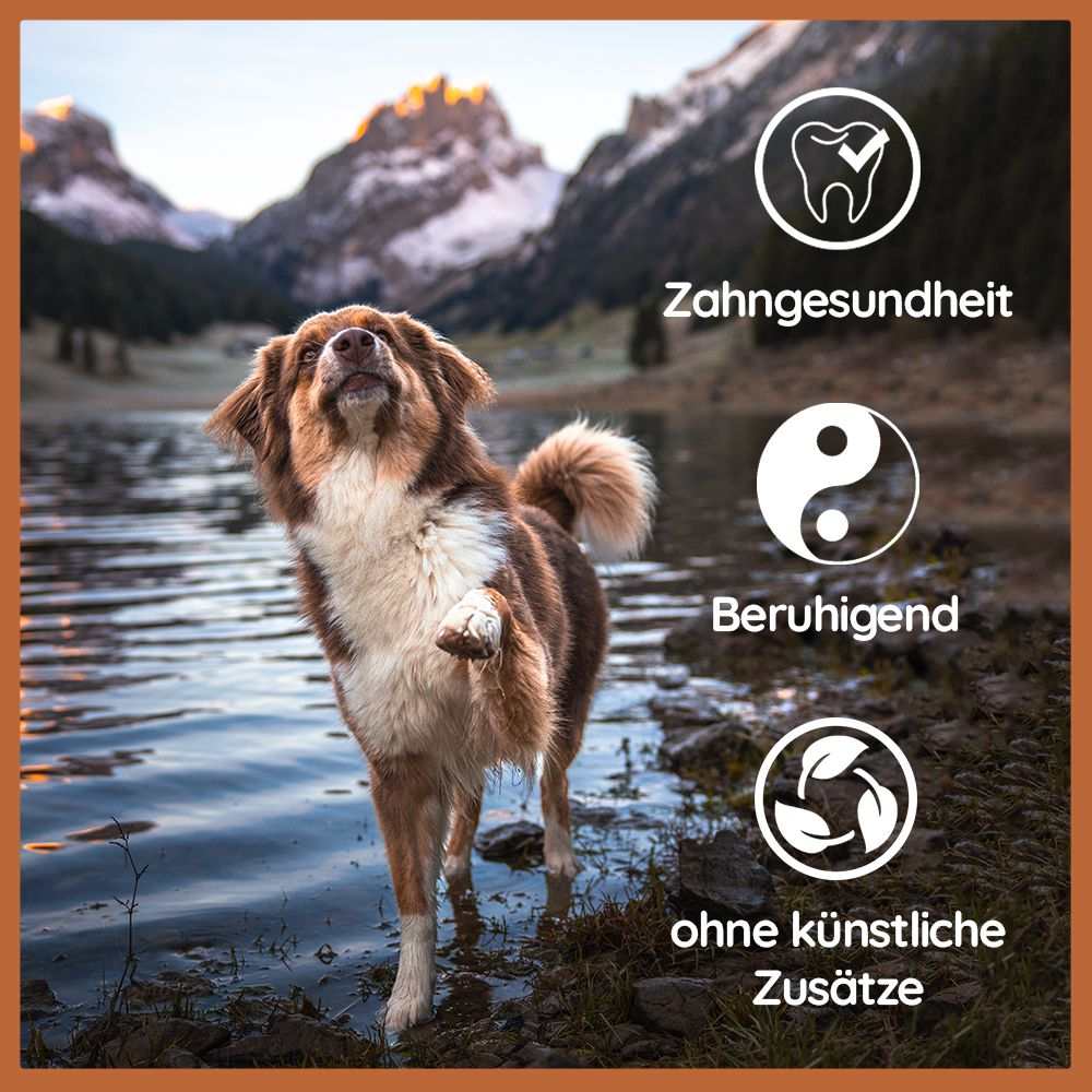 Rinderkauhorn-Hundespielzeug-Wildfang-