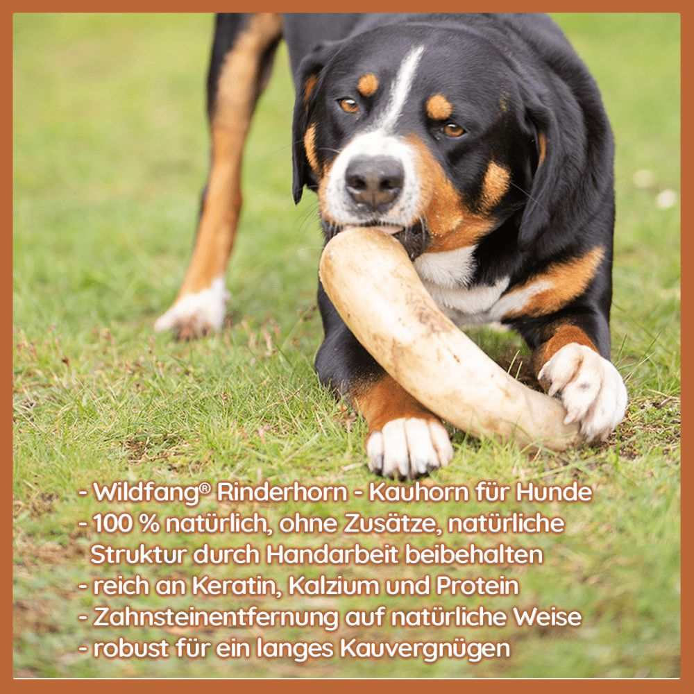 Kauhorn vom Rind-Hundespielzeug-Wildfang-