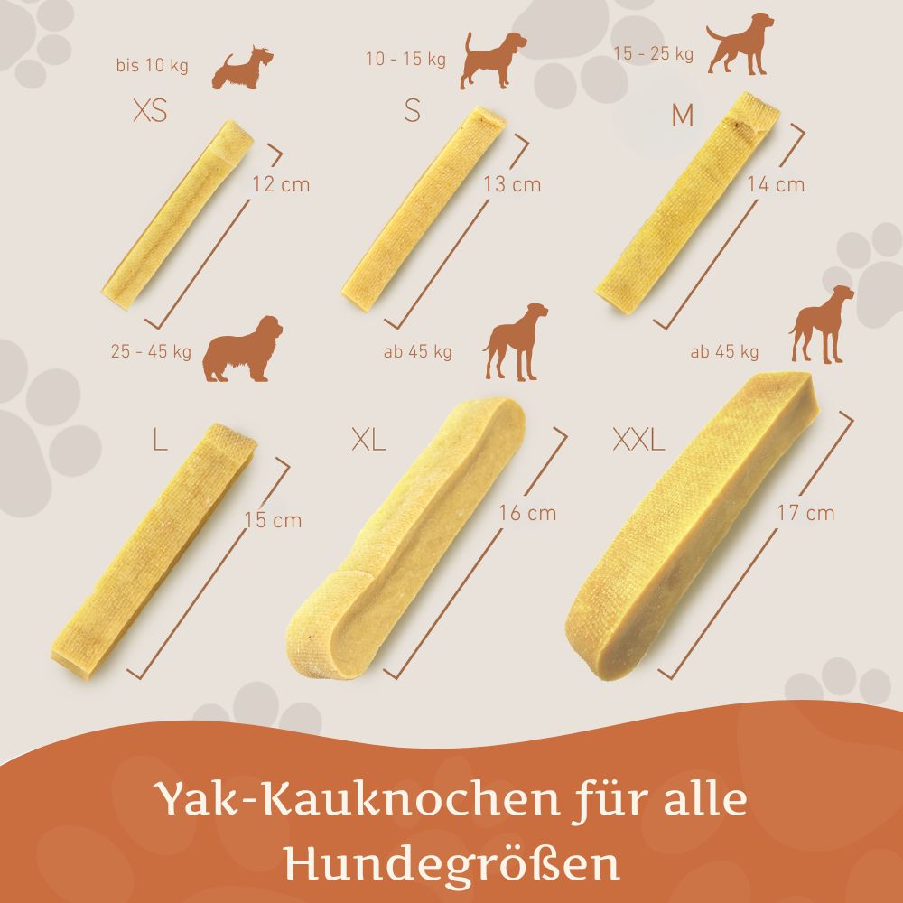 Kaukäse - Hartkäse Kaustab - 3er Set-Hundespielzeug-Wildfang-