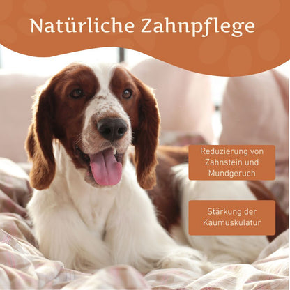 Kaukäse - Hartkäse Kaustab - 3er Set-Hundespielzeug-Wildfang-