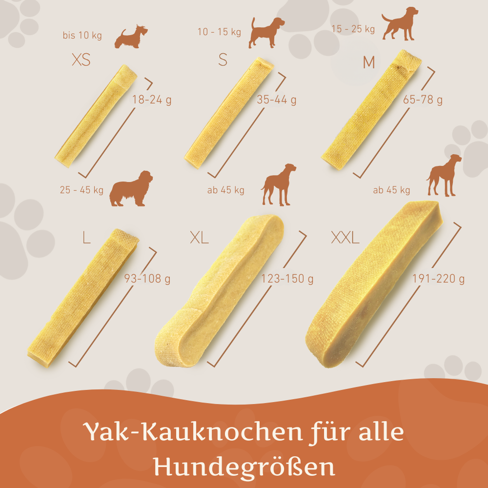 Kaukäse - Hartkäse Kaustab-Hundespielzeug-Wildfang-