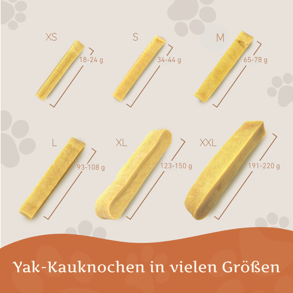 Kaukäse - Hartkäse Kaustab-Hundespielzeug-Wildfang-