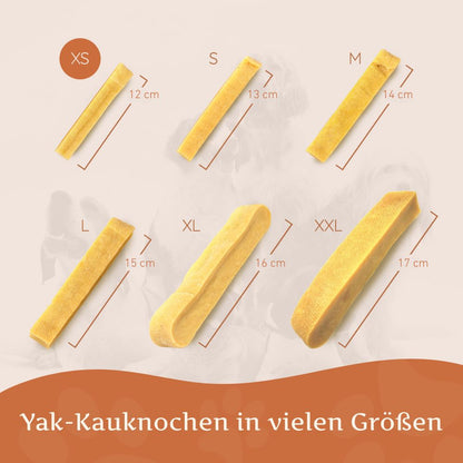 Kaukäse - Hartkäse Kaustab - 6er Set-Hundespielzeug-Wildfang-