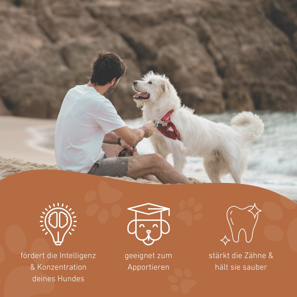 Kauspielzeug Flugrakete "Rocket" - 100% Naturkautschuk-Hundespielzeug-Wildfang-