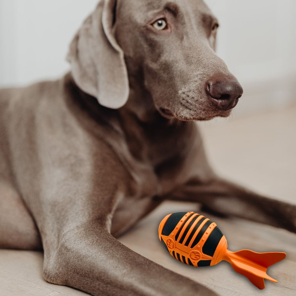 Kauspielzeug Flugrakete "Rocket" - 100% Naturkautschuk-Hundespielzeug-Wildfang-