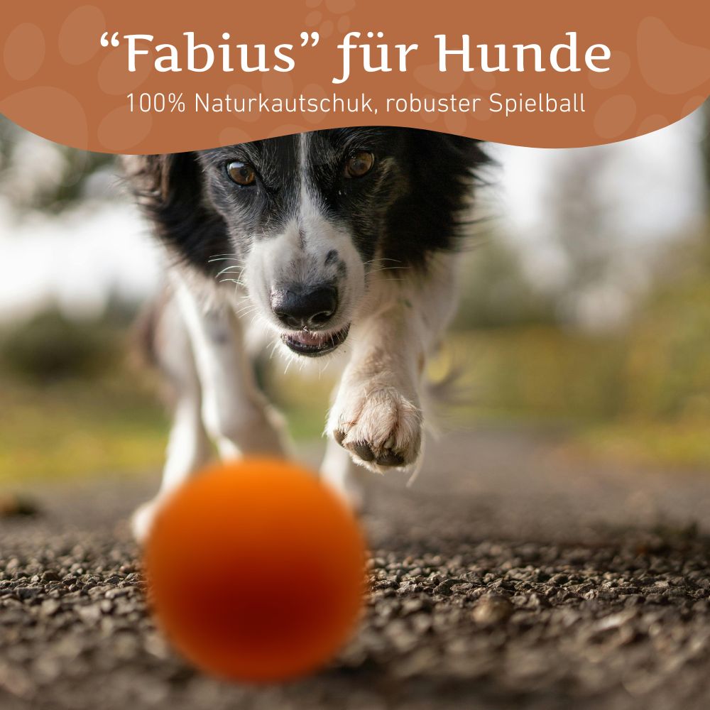 Kauspielzeug Flummiball "Fabius" - 100% Naturkautschuk-Hundespielzeug-Wildfang-
