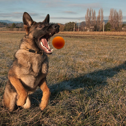 Kauspielzeug Flummiball "Fabius" - 100% Naturkautschuk-Hundespielzeug-Wildfang-