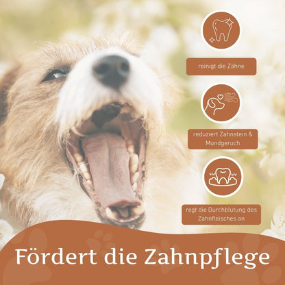 Kauspielzeug Kauring "Robin" - 100% Naturkautschuk-Hundespielzeug-Wildfang-