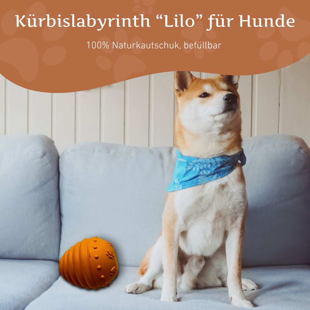 Kauspielzeug Kürbislabyrinth "Lilo" - 100% Naturkautschuk-Hundespielzeug-Wildfang-