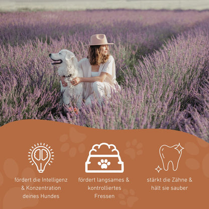 Kauspielzeug Kürbislabyrinth "Lilo" - 100% Naturkautschuk-Hundespielzeug-Wildfang-