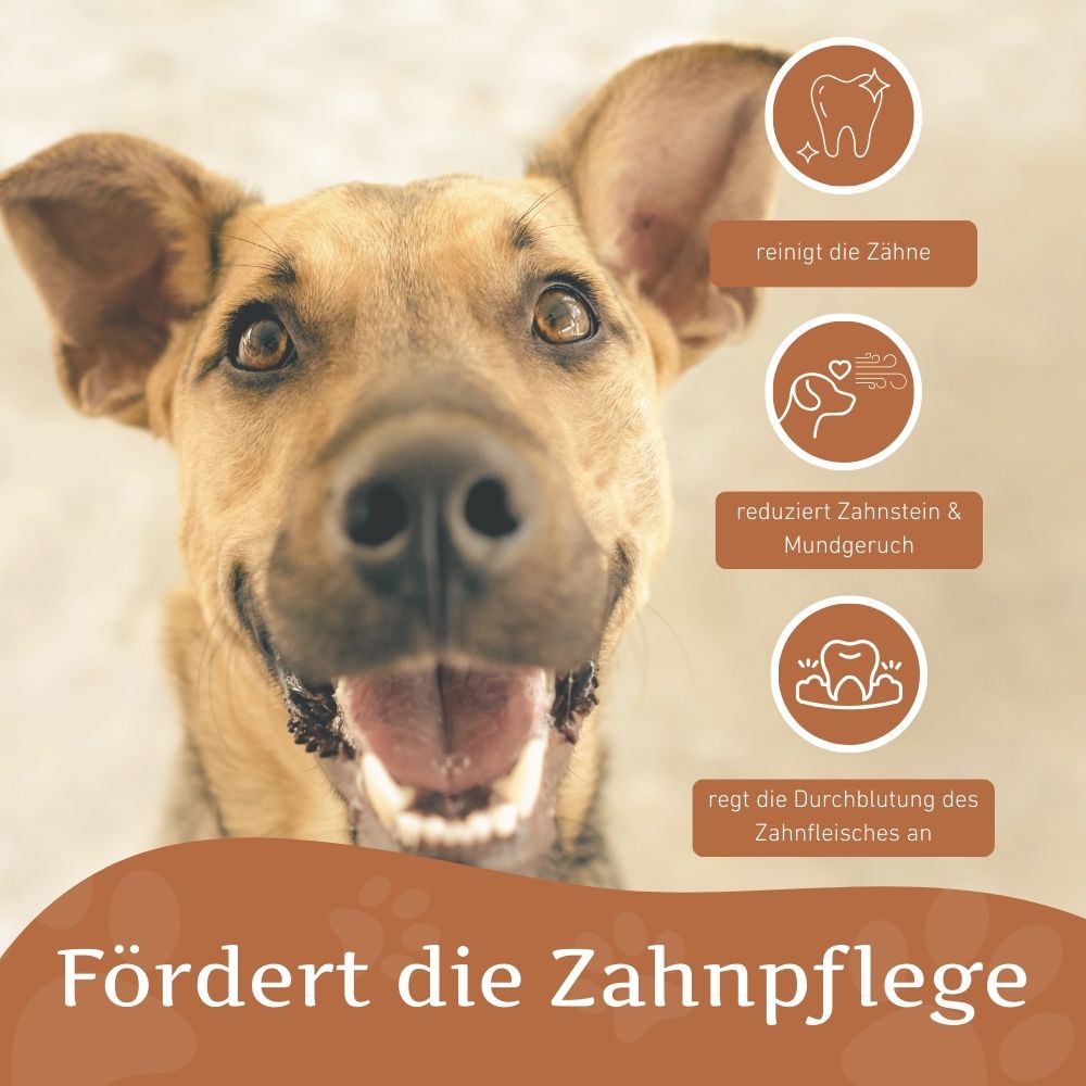 Kauspielzeug Quietschknochen "Kristoff" - 100% Naturkautschuk-Hundespielzeug-Wildfang-