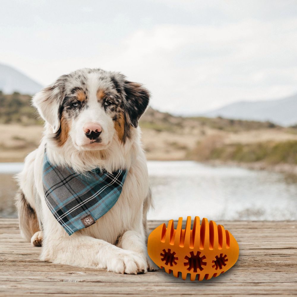 Kauspielzeug Rugbysnacker "Raya" - 100% Naturkautschuk-Hundespielzeug-Wildfang-