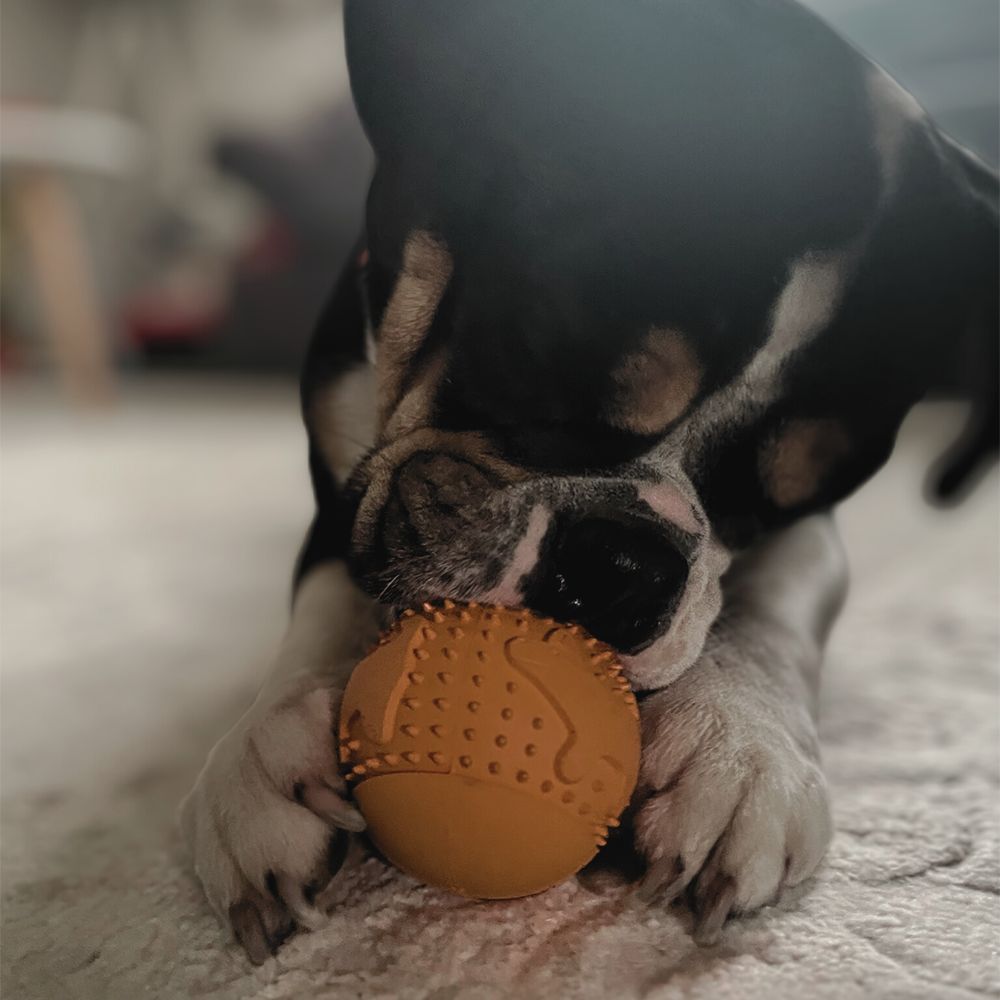 Kauspielzeug Snackball "Simba" - 100% Naturkautschuk-Hundespielzeug-Wildfang-