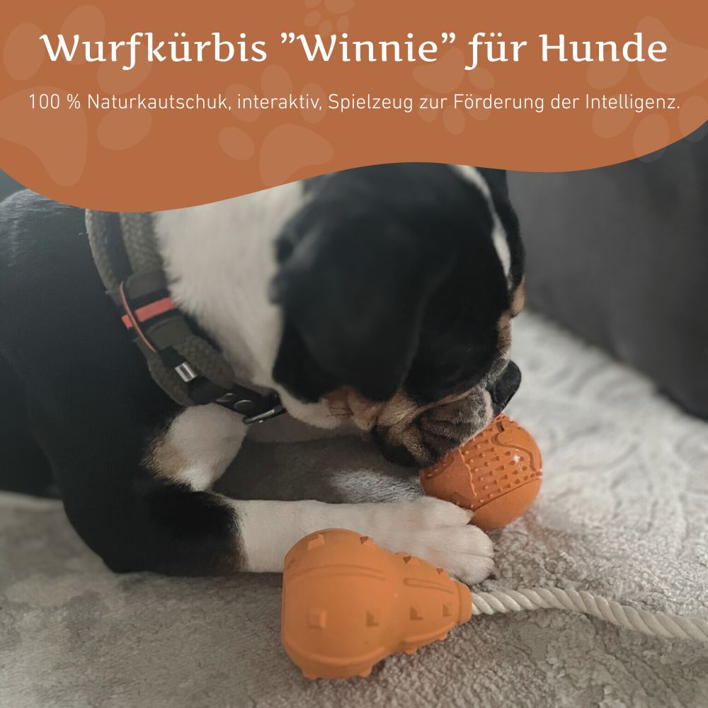 Kauspielzeug Wurfkürbis "Winnie" - 100% Naturkautschuk-Hundespielzeug-Wildfang-
