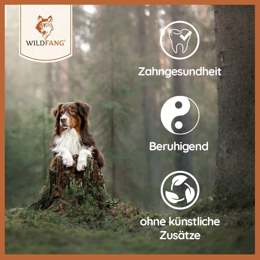 Olivenholz Kaustab-Hundespielzeug-Wildfang-
