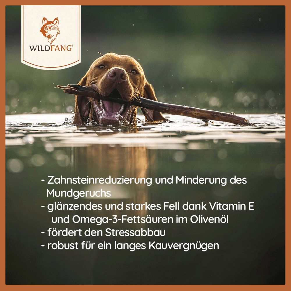 Olivenholz Kaustab-Hundespielzeug-Wildfang-