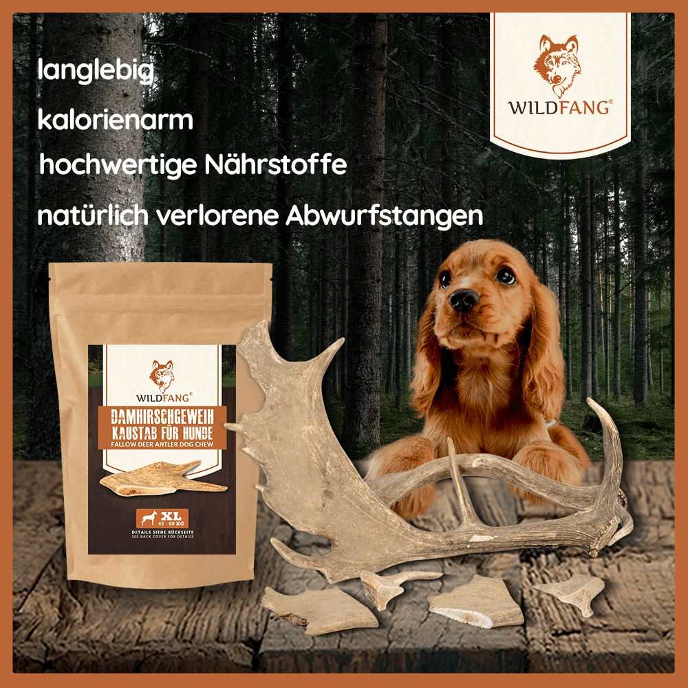 Kaustange vom Damhirsch-Hundespielzeug-Wildfang-