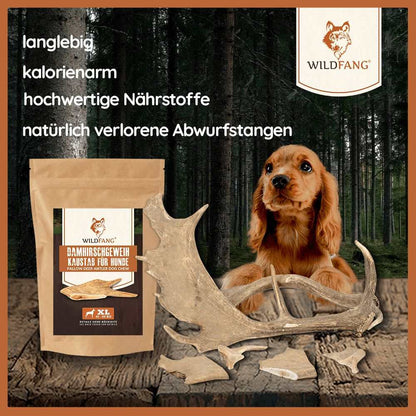 Kaustange vom Damhirsch-Hundespielzeug-Wildfang-