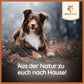 Kaugeweih Damhirsch-Hundespielzeug-Wildfang-