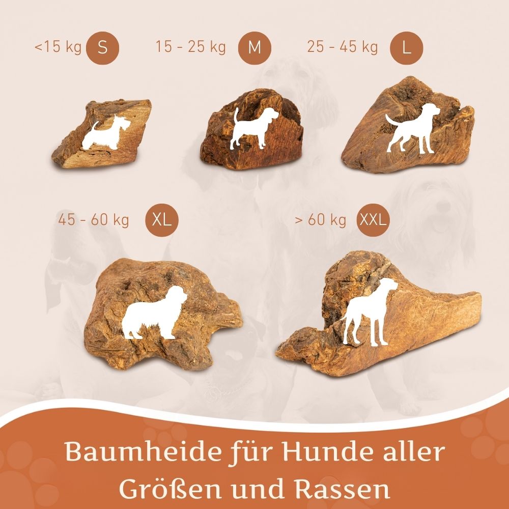 Kauwurzel aus Baumheide-Hundespielzeug-Wildfang-