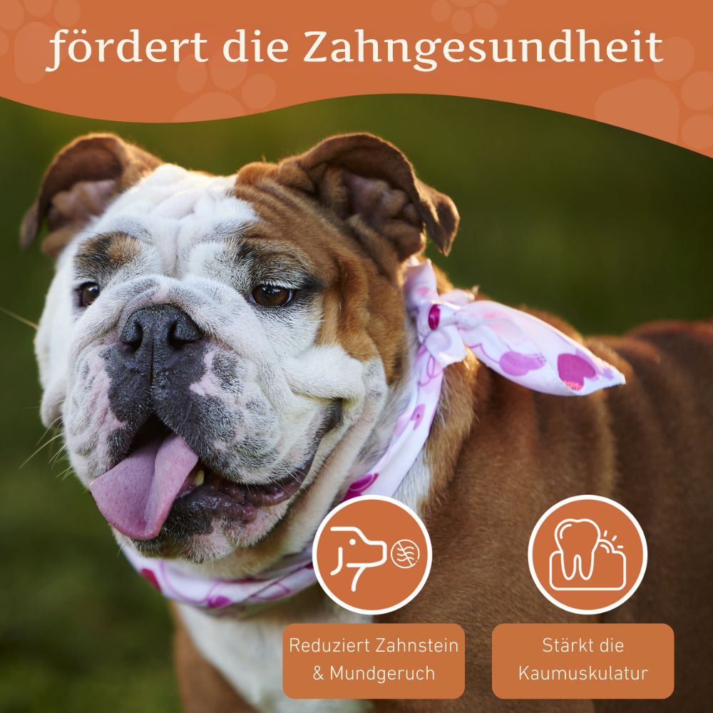 Kauwurzel aus Baumheide-Hundespielzeug-Wildfang-