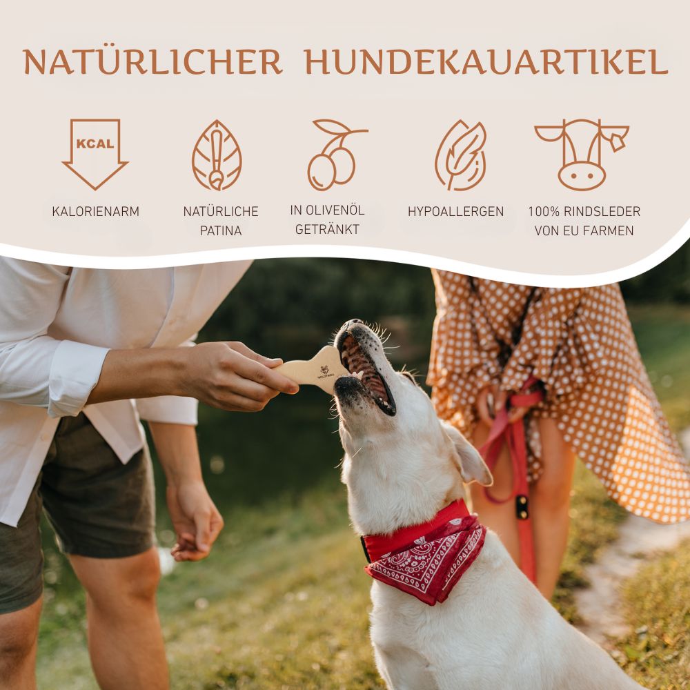 Lederknochen - Kauleder - 3er Set-Hundespielzeug-Wildfang-