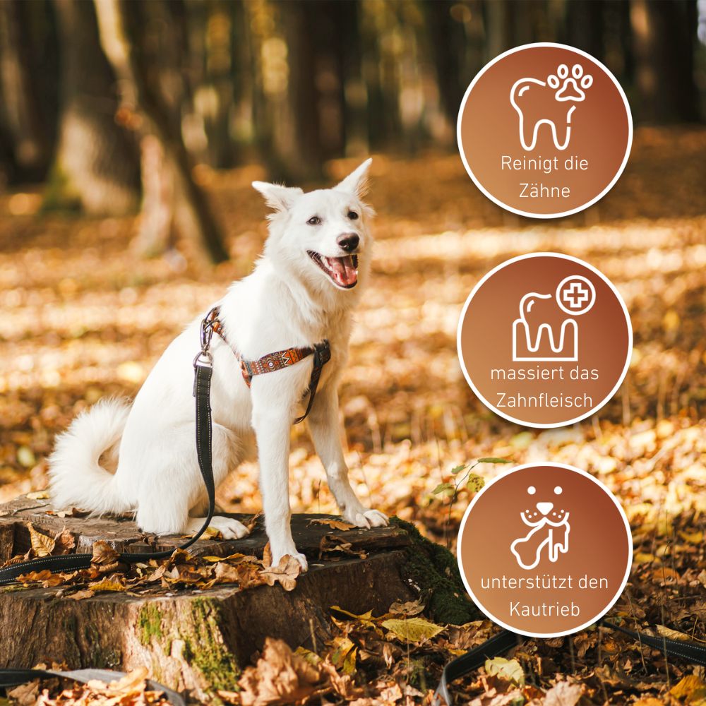 Lederknochen - Kauleder - 3er Set-Hundespielzeug-Wildfang-