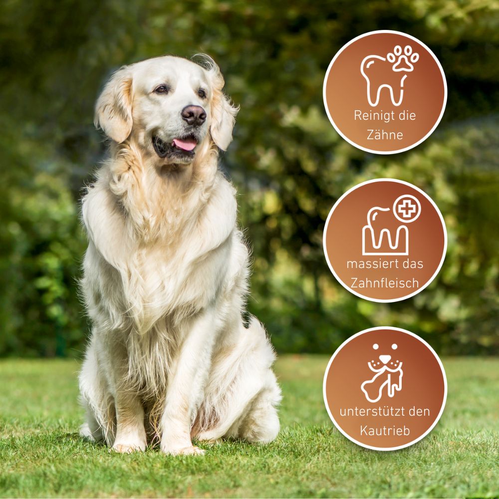 Lederknochen - Kauleder-Hundespielzeug-Wildfang-