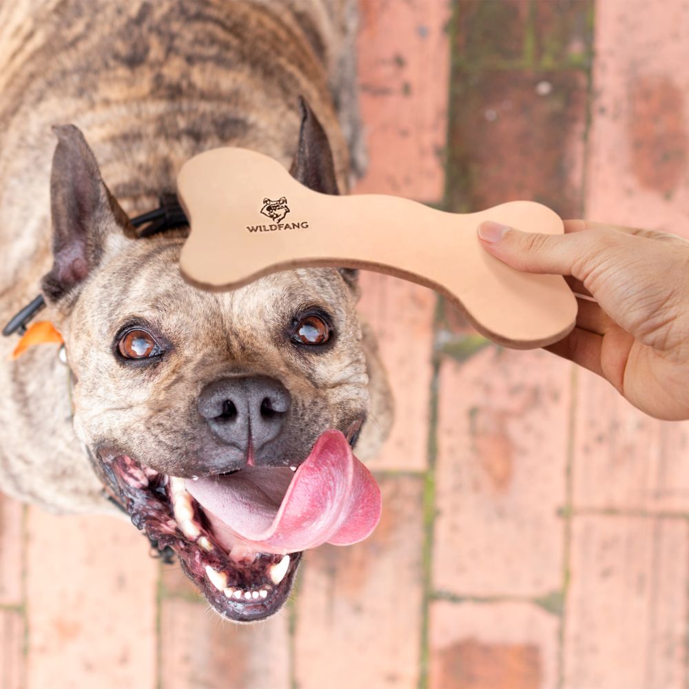 Lederknochen - Kauleder-Hundespielzeug-Wildfang-