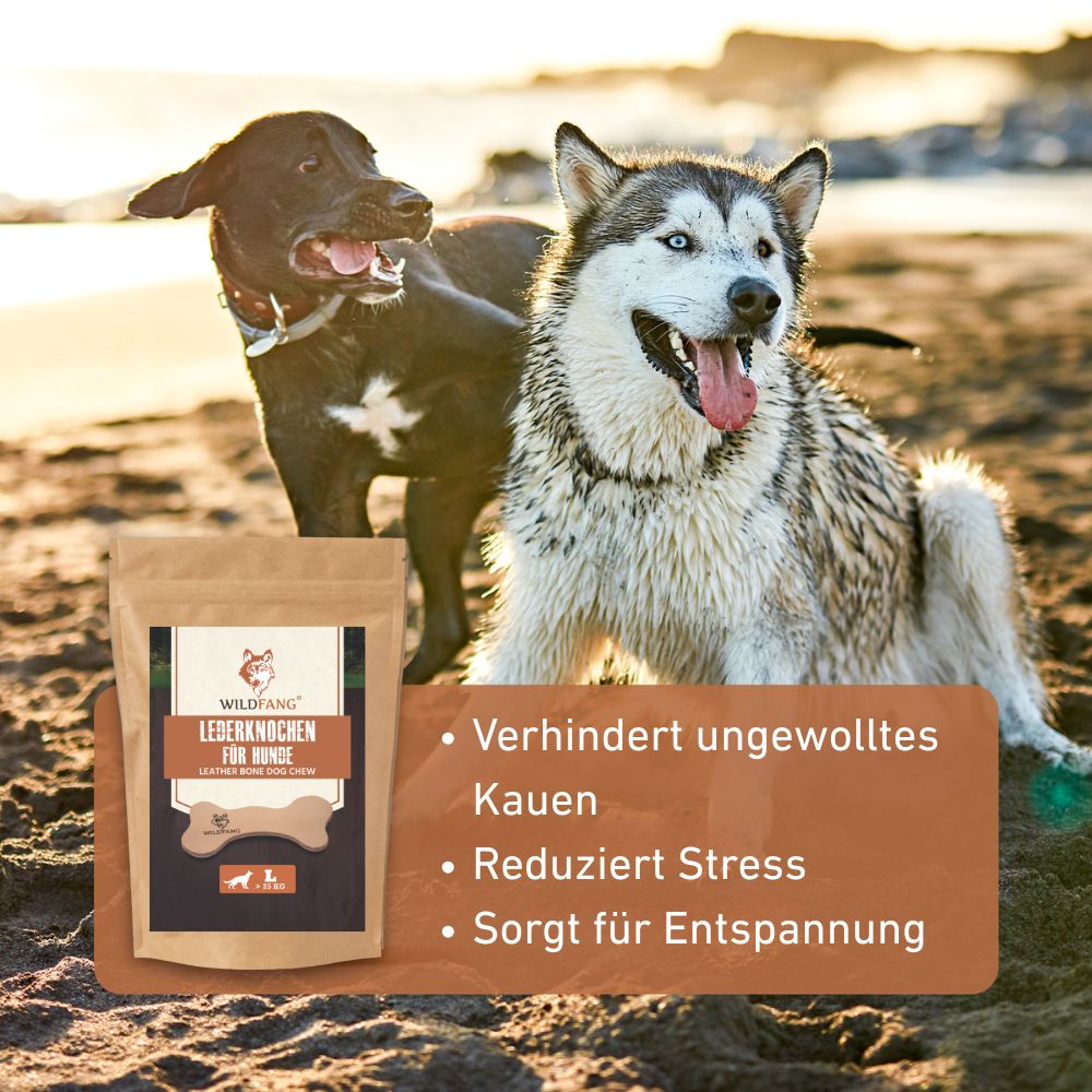 Lederknochen - Kauleder-Hundespielzeug-Wildfang-