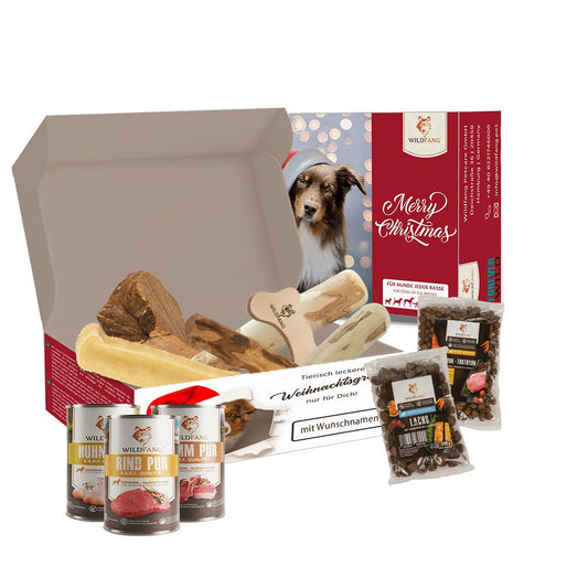 Welpen Wunschbox Weihnachtsedition mit Kauartikeln und Futter für kleine bis große Welpen in Geschenkbox