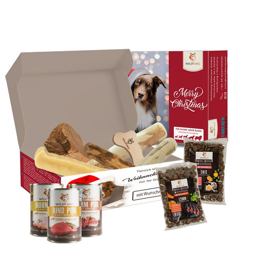 Meine Wunschbox "Weihnachtsedition"-Hundespielzeug-Wildfang-