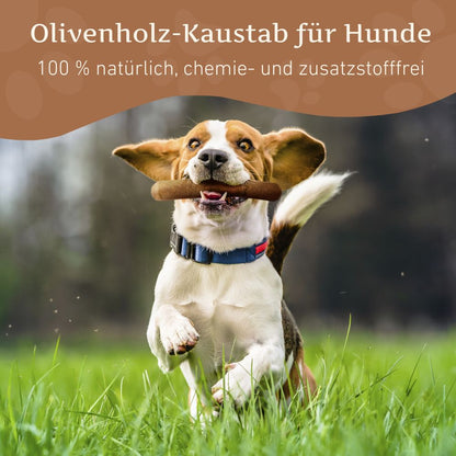 Olivenholz Kaustab-Hundespielzeug-Wildfang-