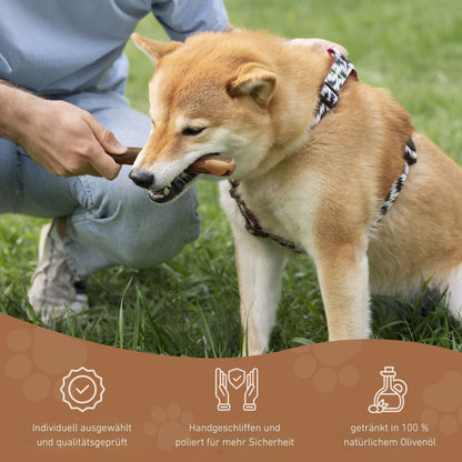 Olivenholz Kaustab-Hundespielzeug-Wildfang-