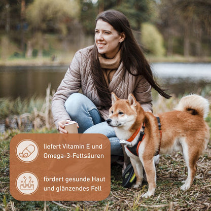 Olivenholz Kaustab-Hundespielzeug-Wildfang-